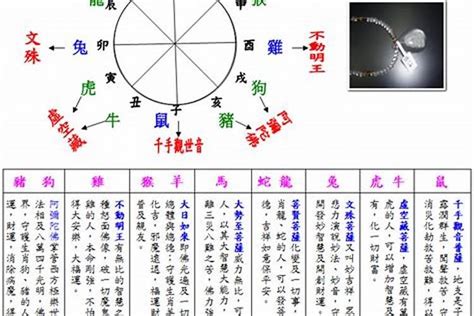 2003年五行属什么|2003年是什么生肖 2003年属什么生肖属相